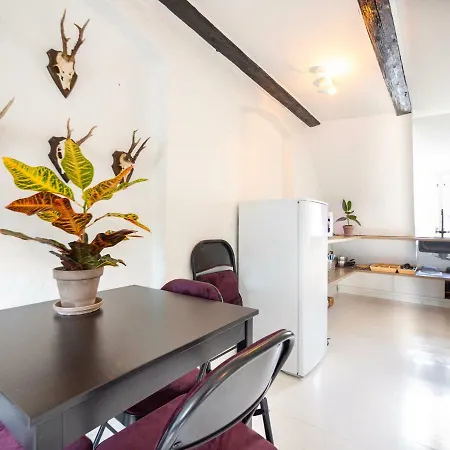 Historical Downtown Apartment *