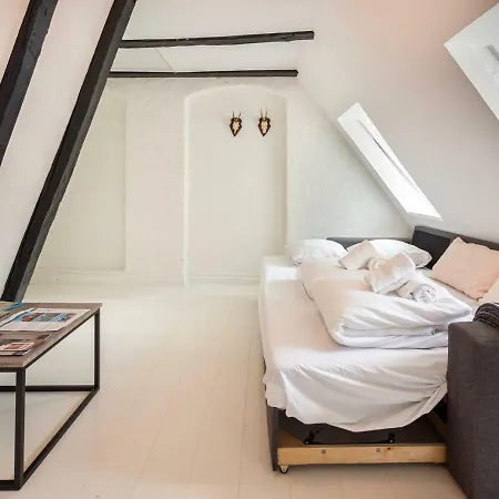 Historical Downtown Apartment