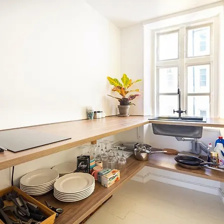 Historical Downtown Apartment Copenhagen