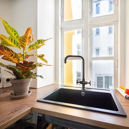 Historical Downtown Apartment